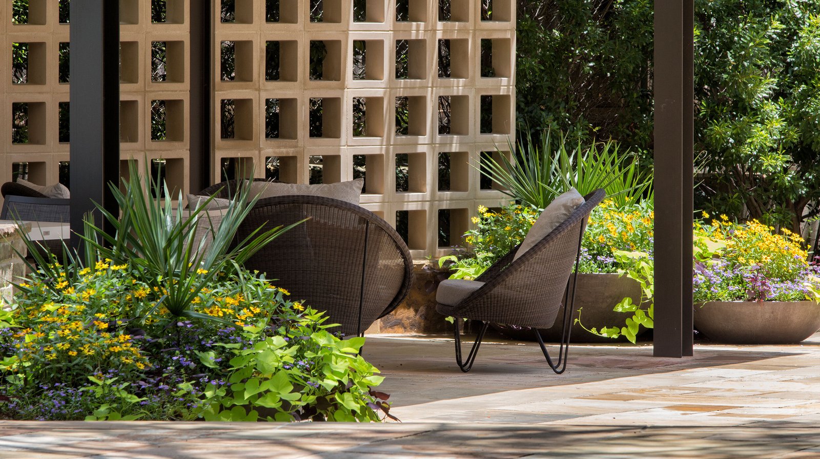 StudioOutside_Hollow Way_03.jpg