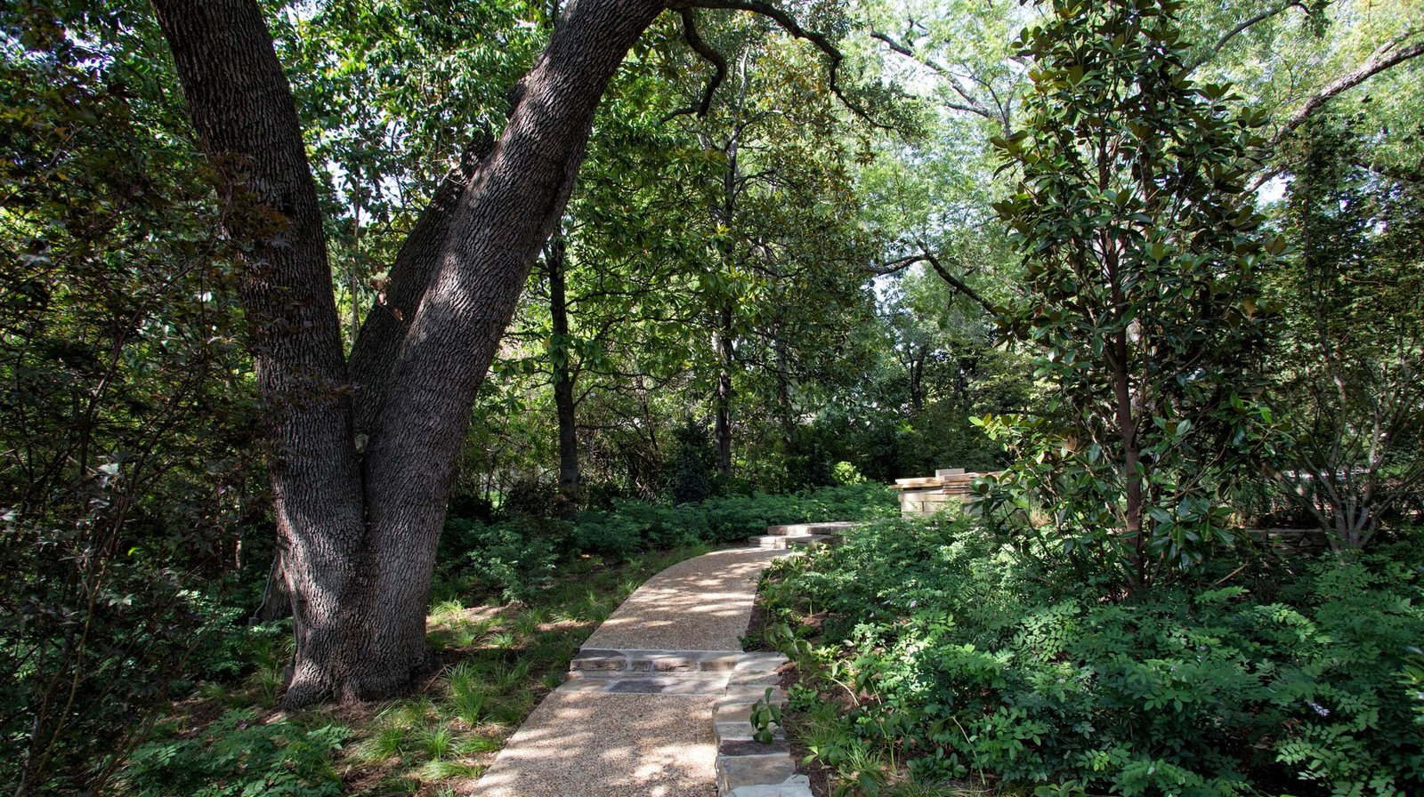 StudioOutside_MidcenturyCreekside_09.jpg