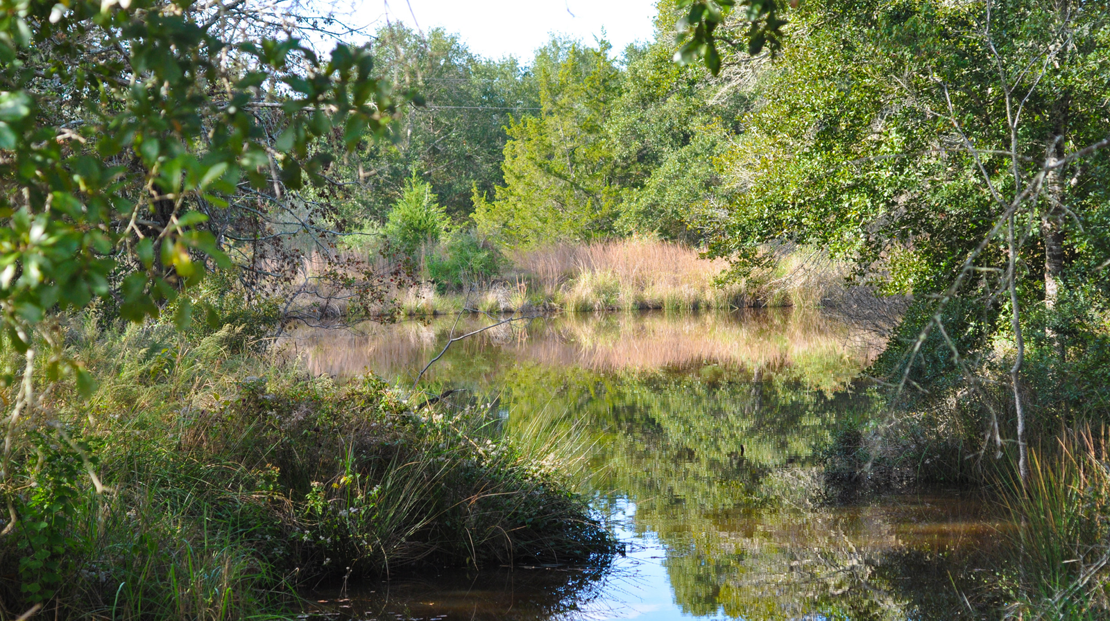 StudioOutside_Tylee Farm_07.jpg