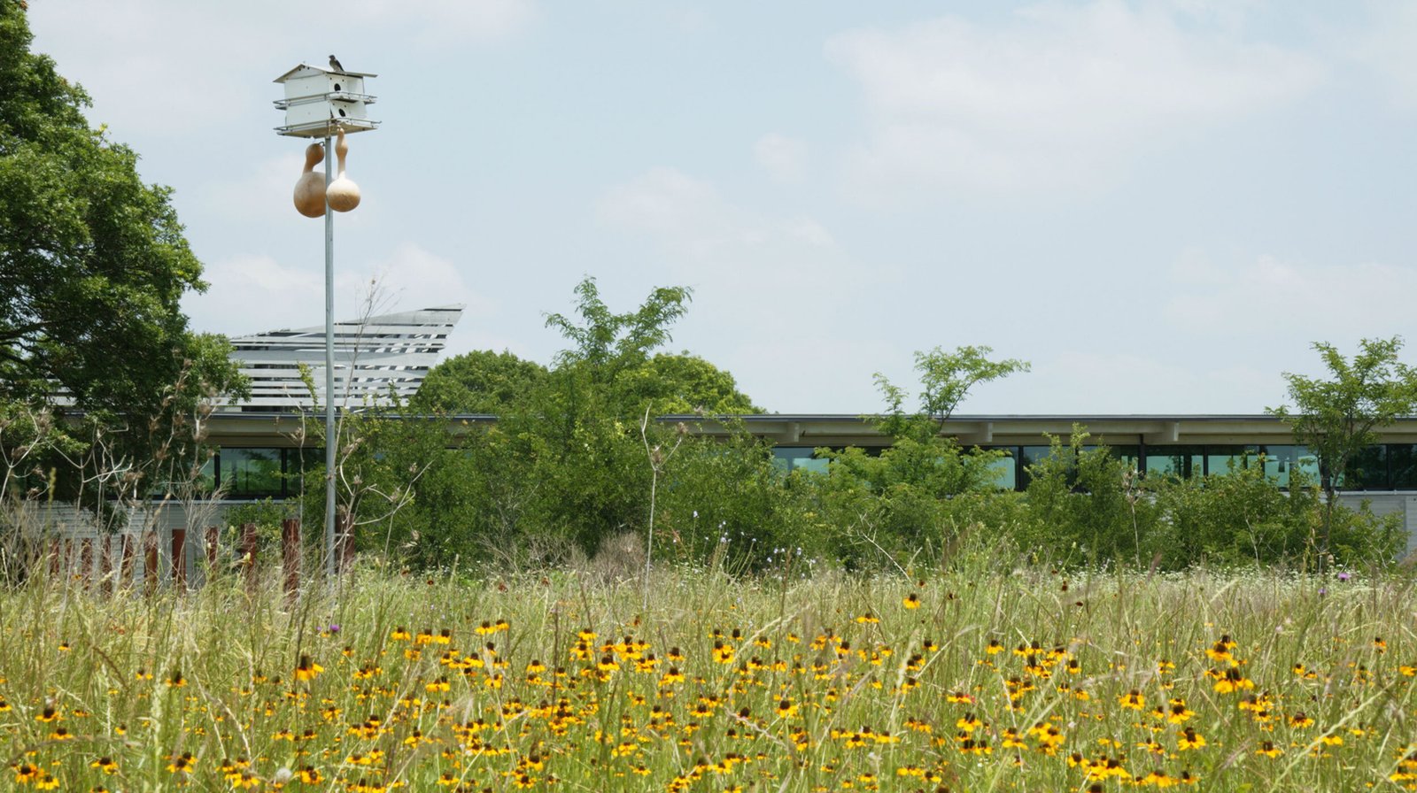 StudioOutside_Rey Rosa Ranch_01.jpg