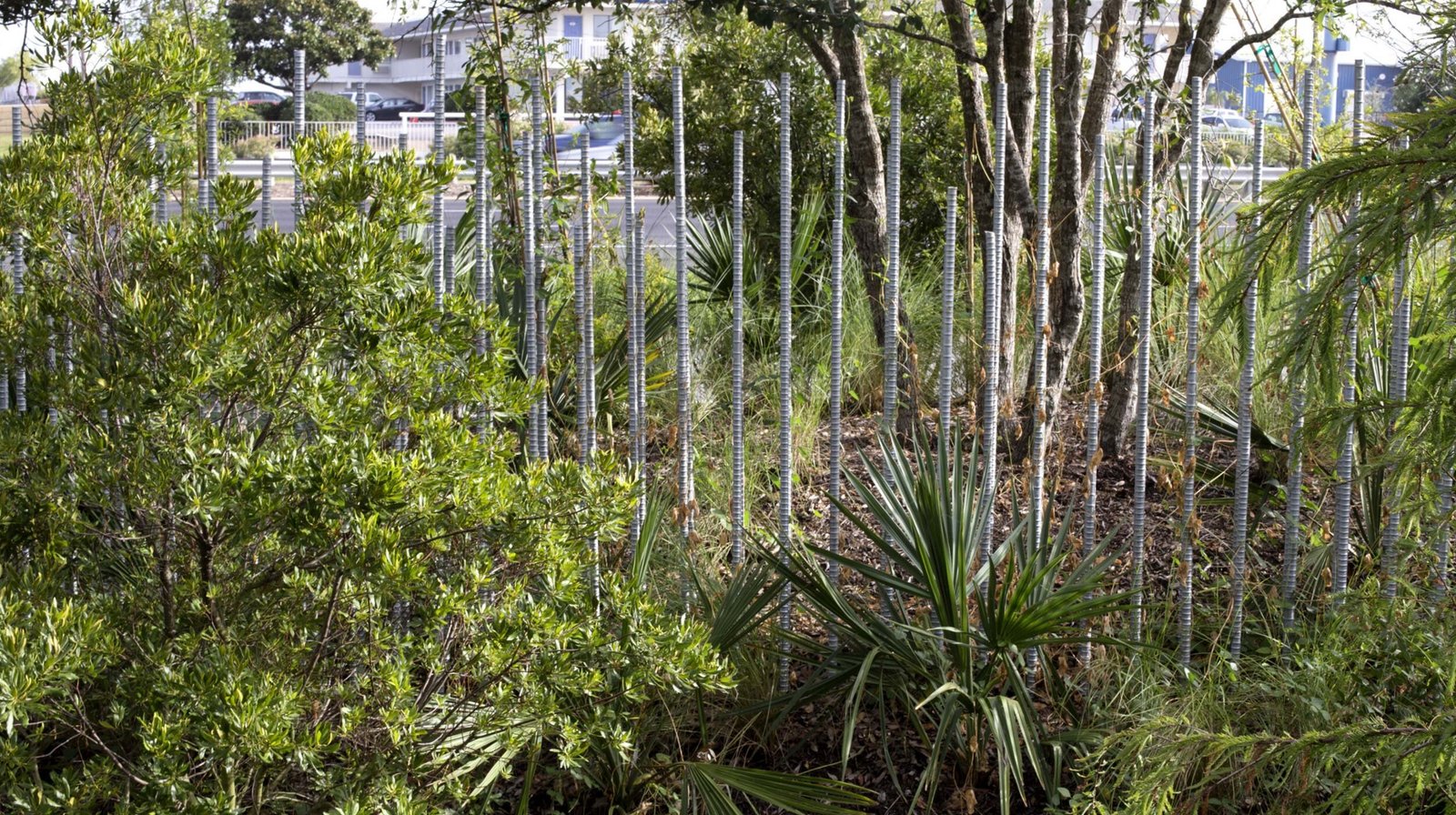 StudioOutside_SeaStarBaseGalveston_10.jpg