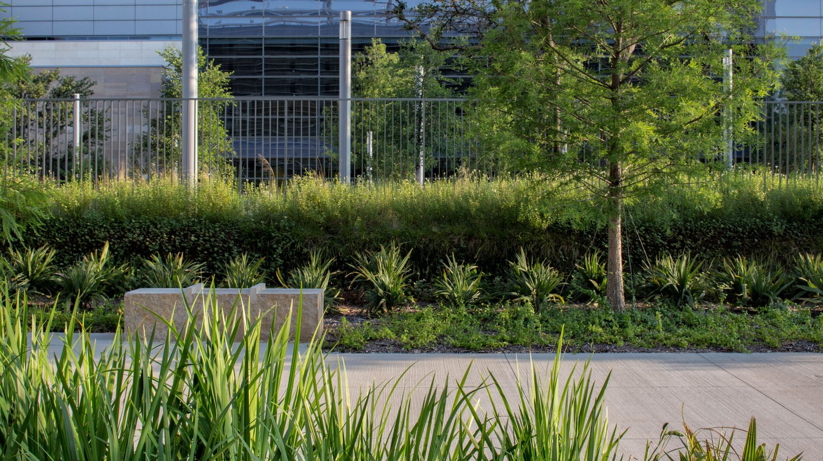 StudioOutside_Parkland Hospital_09.jpg