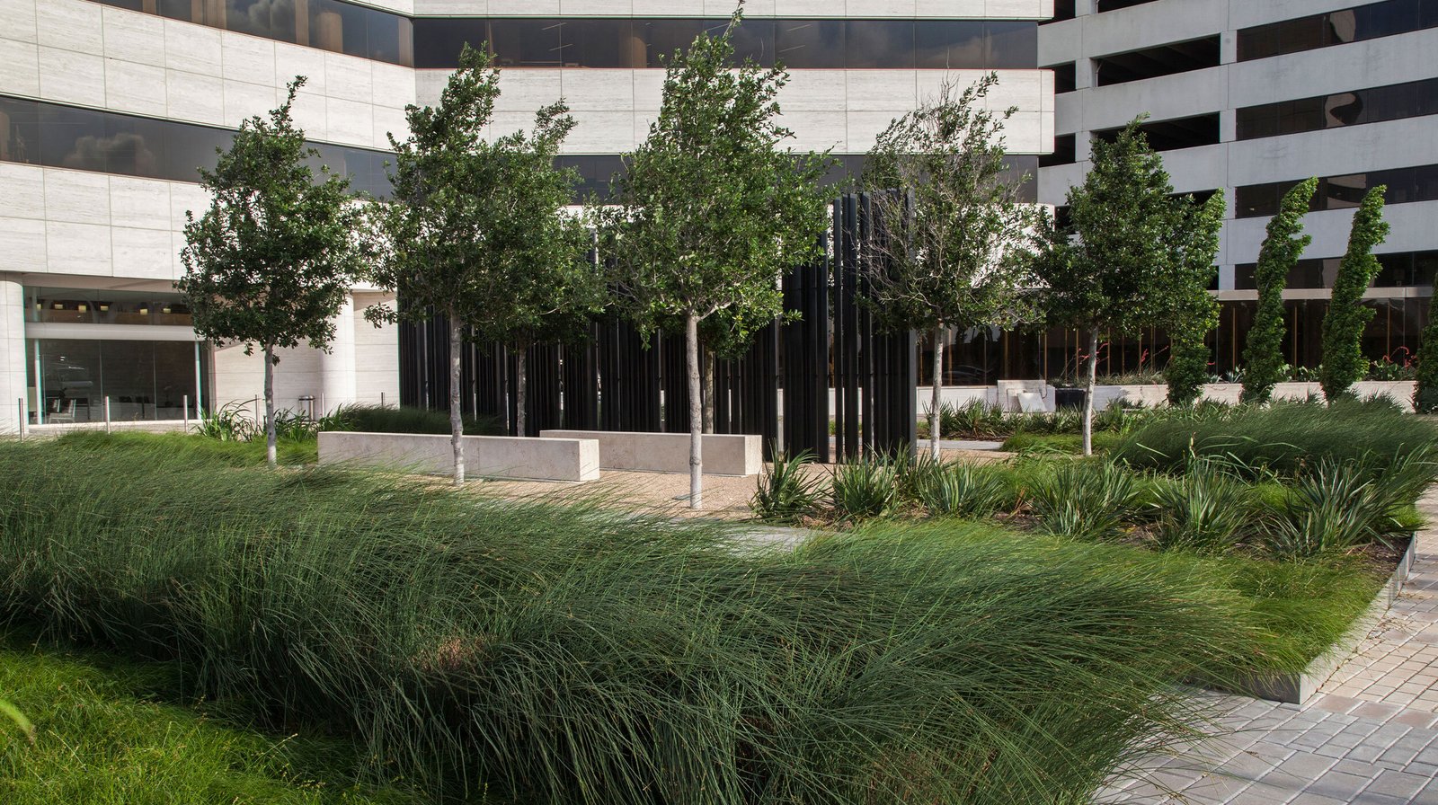 StudioOutside_Westheimer Office Complex_04.jpg