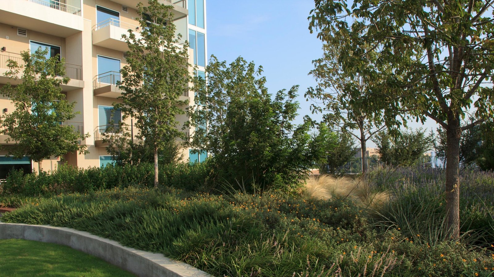 StudioOutside_1400HiLine_03.jpg