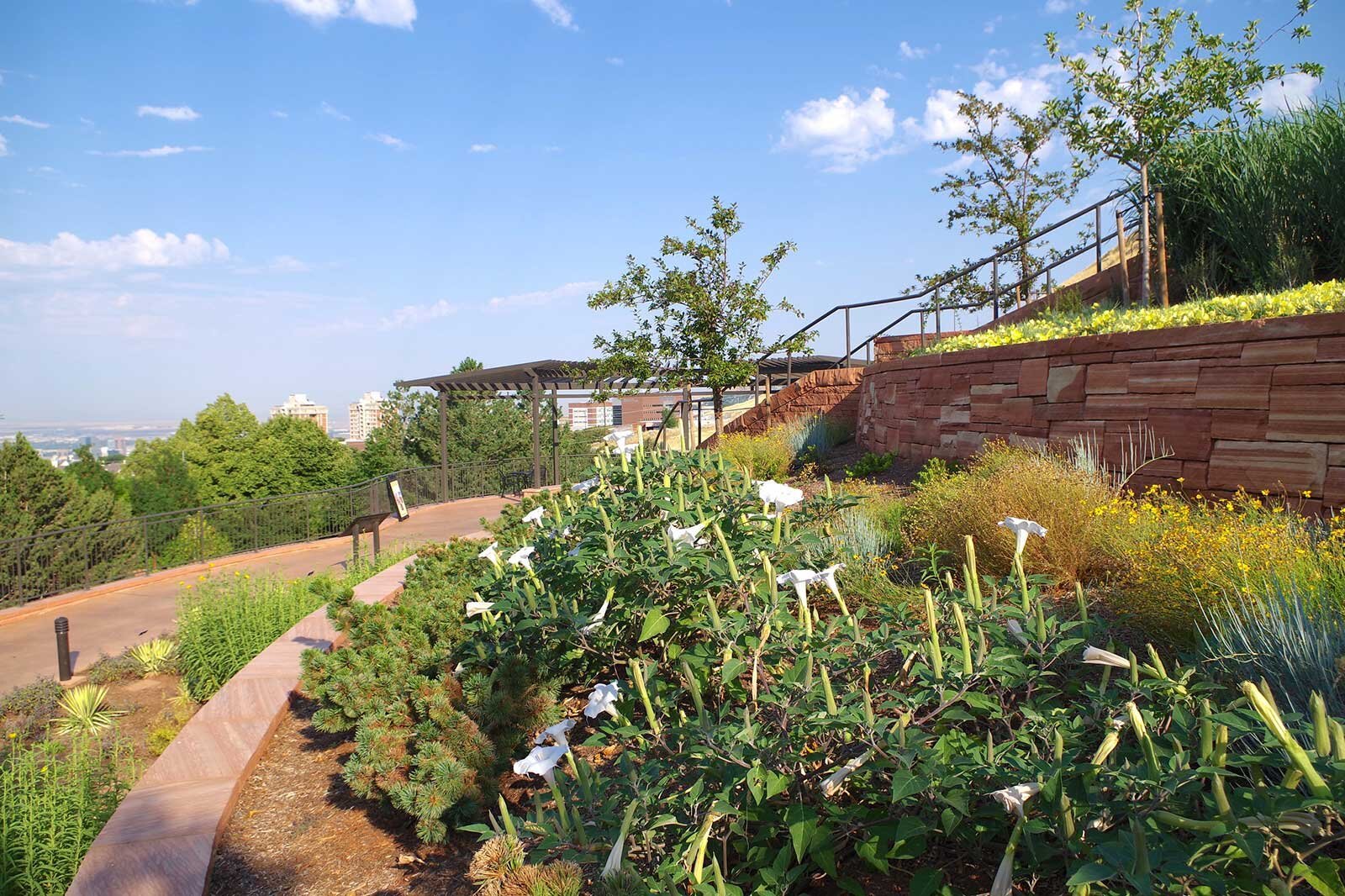 Center for Plant Conservation: “Adaptive, Sustainable…” Marita Tewes Tyrolt | Nov. 15, 2020 Water Conservation Garden