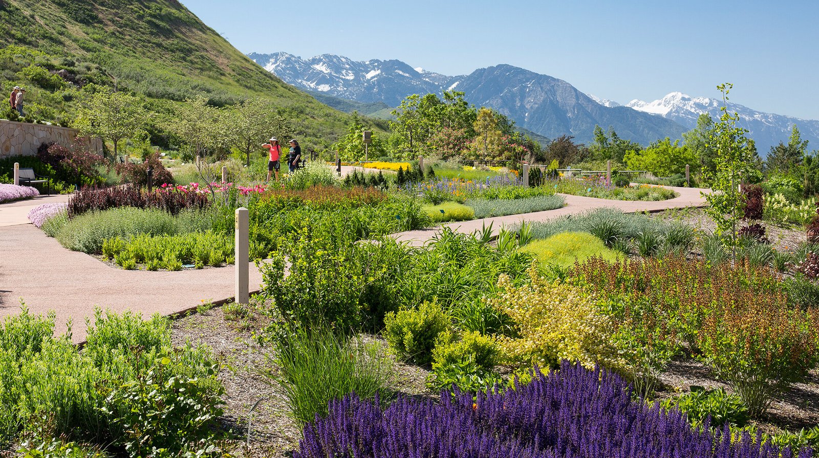 StudioOutside_WaterConservationGarden_05.jpg