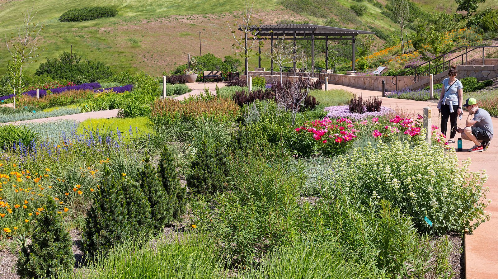 StudioOutside_WaterConservationGarden_08.jpg