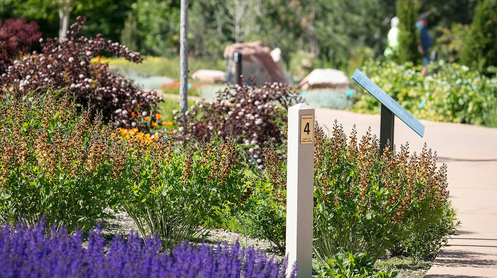 StudioOutside_WaterConservationGarden_09.jpg