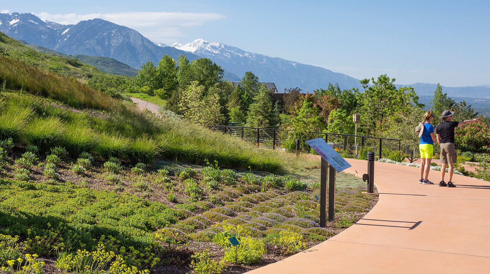 StudioOutside_WaterConservationGarden_11.jpg