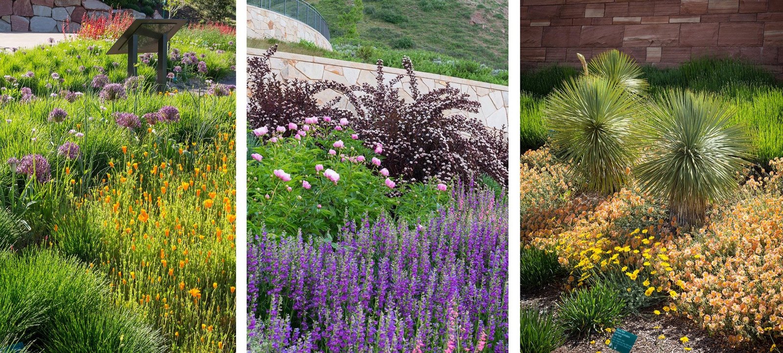 StudioOutside_WaterConservationGarden_10.jpg