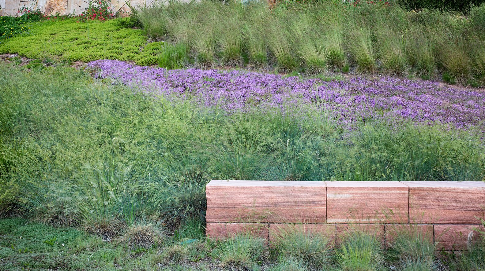 StudioOutside_WaterConservationGarden_12.jpg