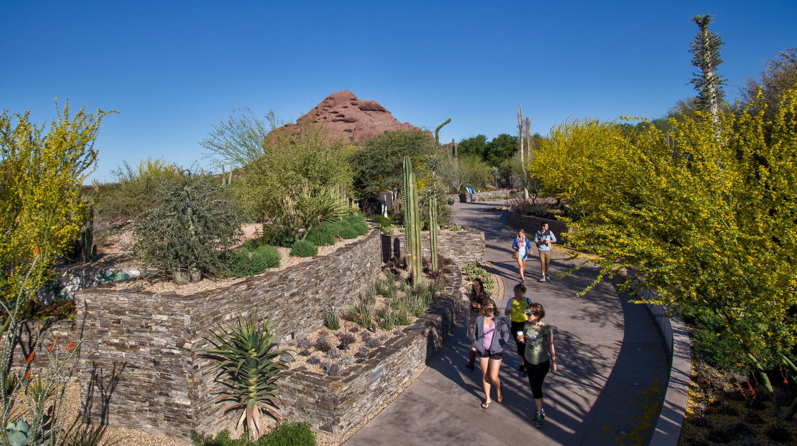 StudioOutside_Desert_Portal_06.jpg