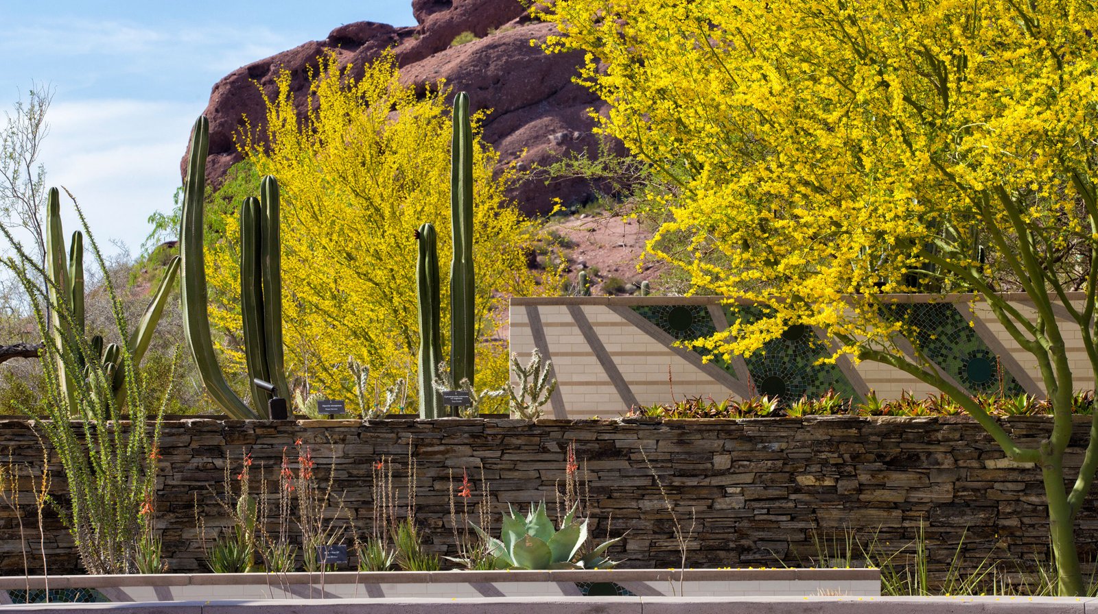 StudioOutside_Desert_Portal_07.jpg