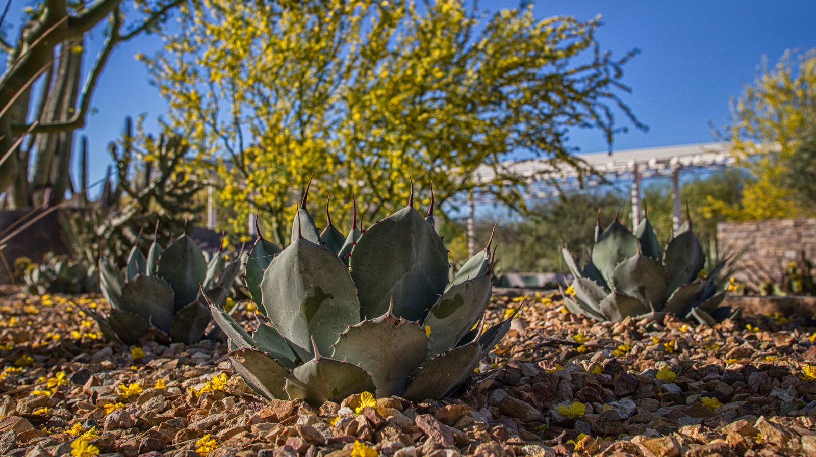 StudioOutside_Desert_Portal_09.jpg