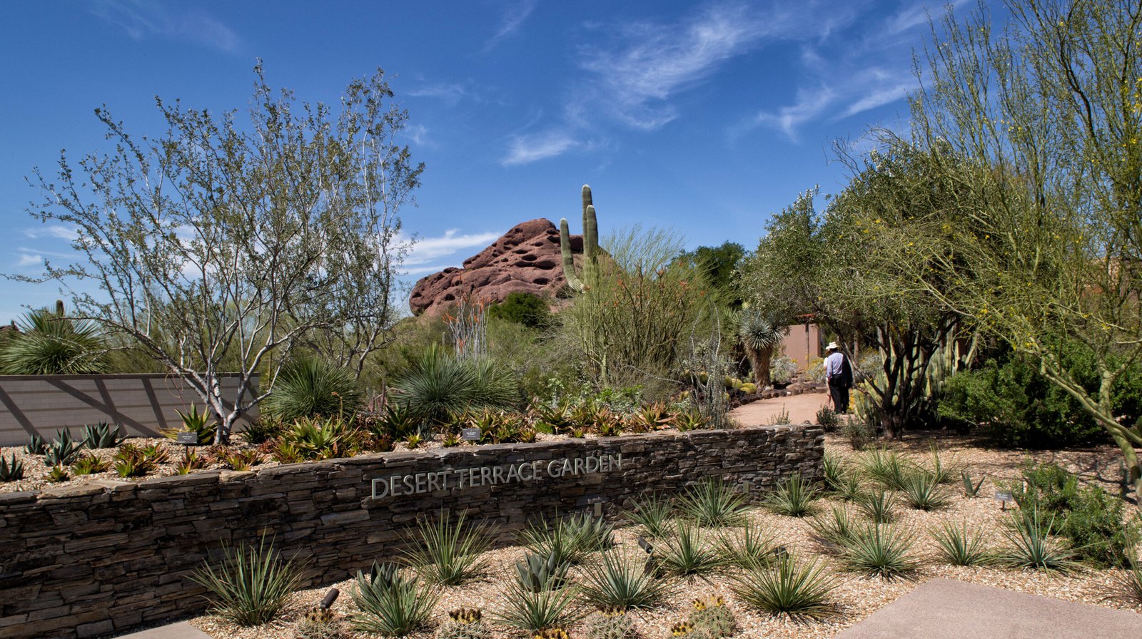 StudioOutside_Desert_Portal_12.jpg