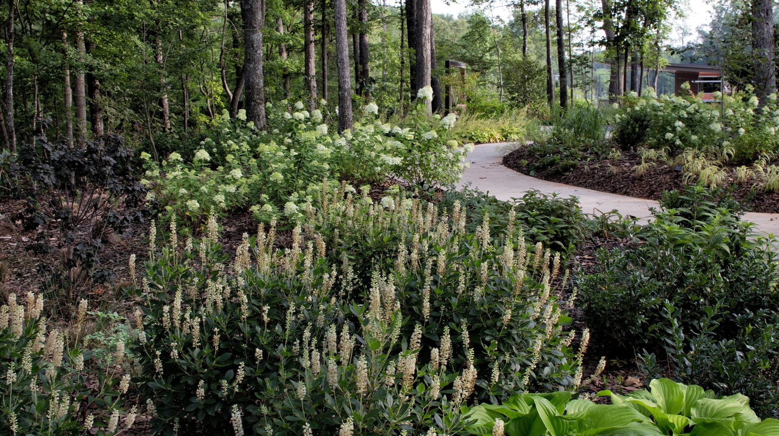 StudioOutside_Atlanta_Botanical_Garden_010.jpg