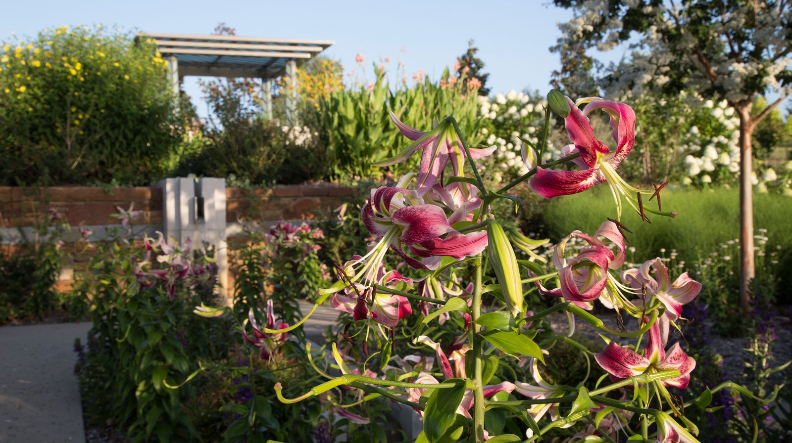 StudioOutside_TulsaBotanicGarden_05.jpg