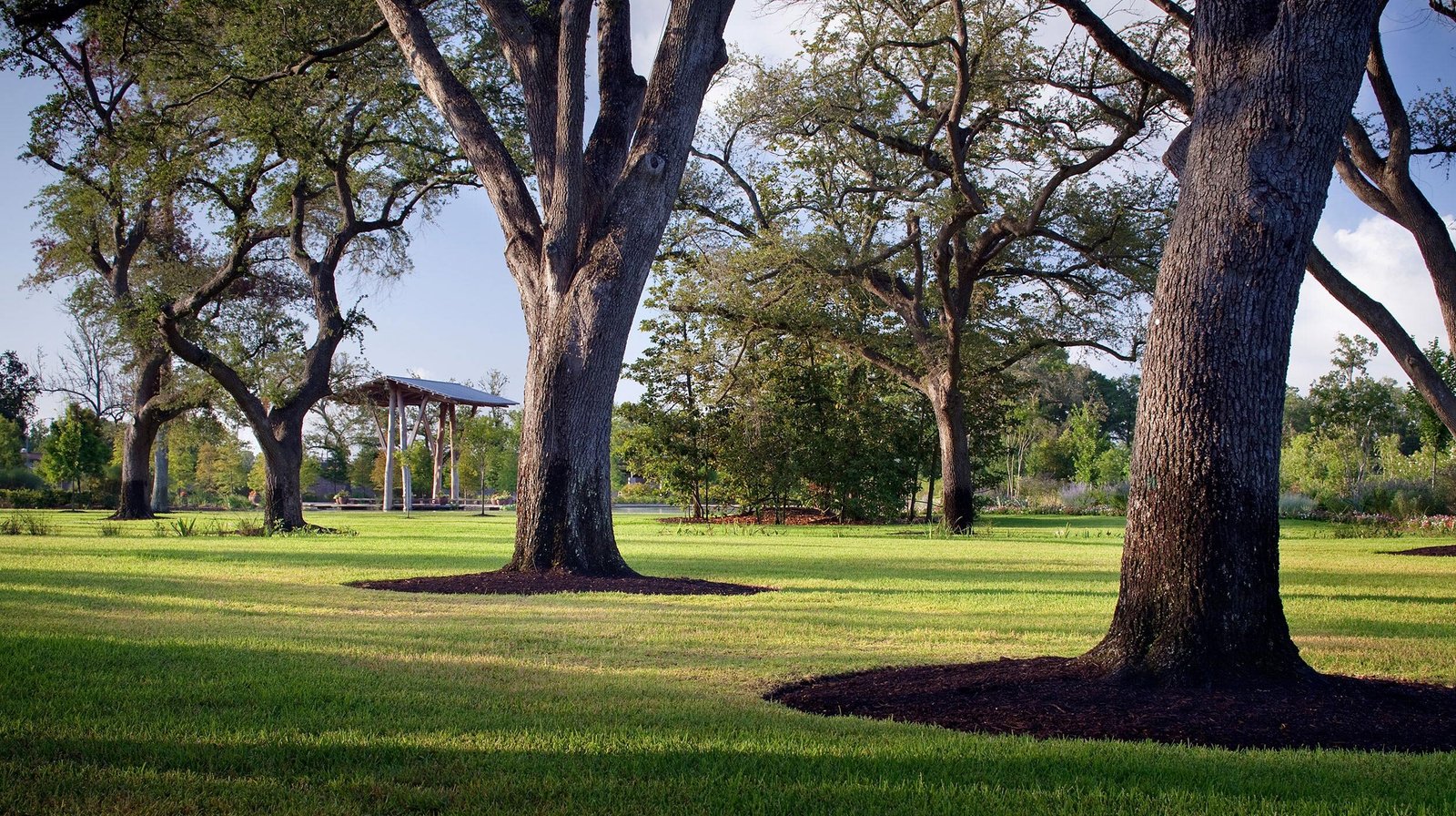 StudioOutside_Shangri_La_Botanical_Gardens_07.jpg