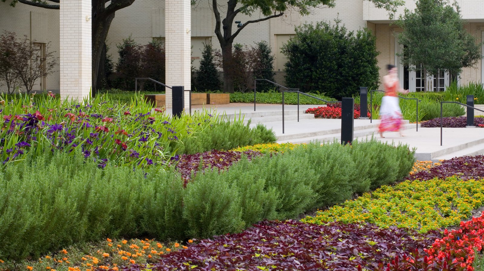 StudioOutside_NorthPark_Center_Garden_02.jpg