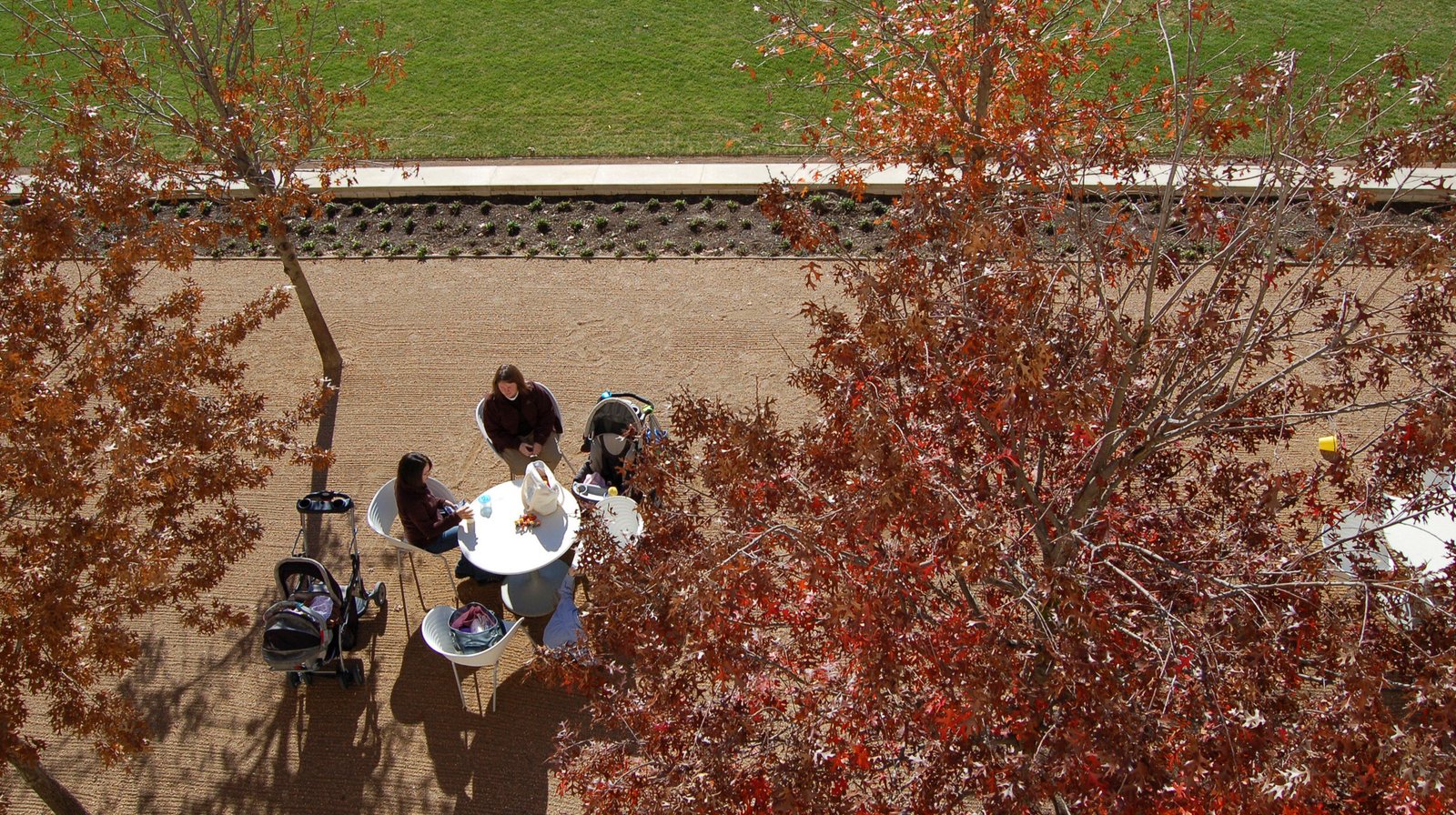 StudioOutside_NorthPark_Center_Garden_03.jpg