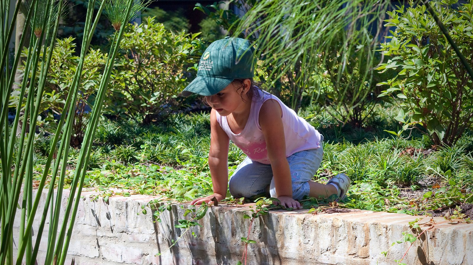 StudioOutside_Shangri_La_Botanical_Gardens_08.jpg
