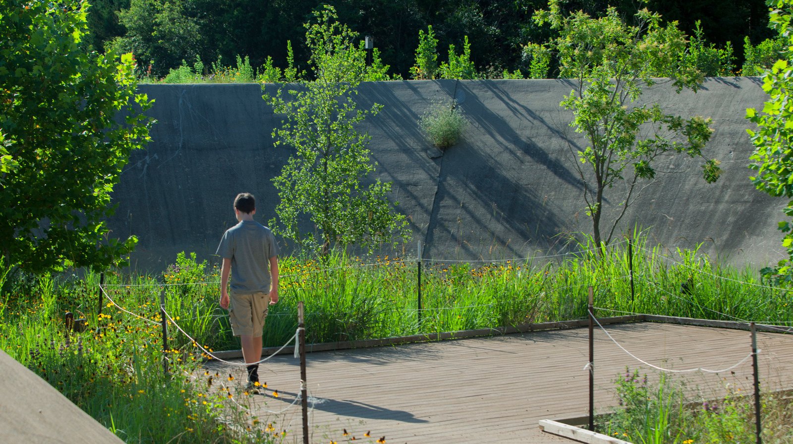 StudioOutside_DogwoodCanyonAudubonCenter_06.jpg