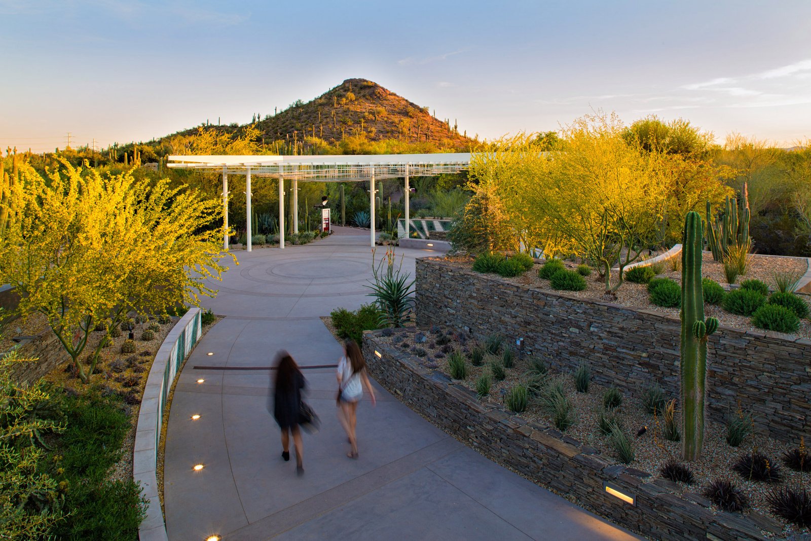 Studio+Outside+Desert+Botanical+Garden+(6).jpg