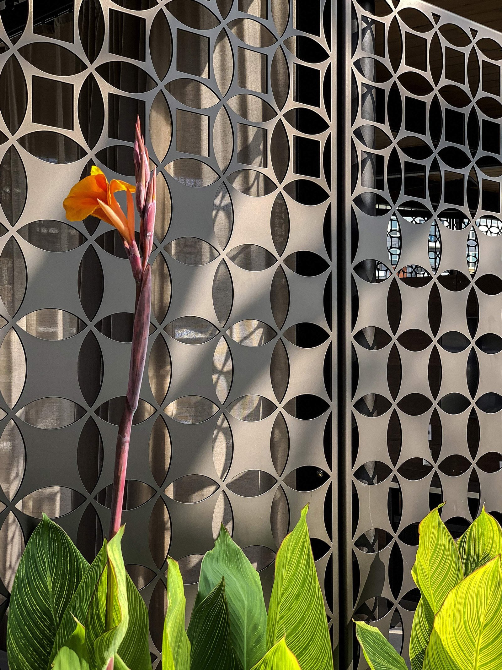 Detail-of-the-privacy-screen.jpg