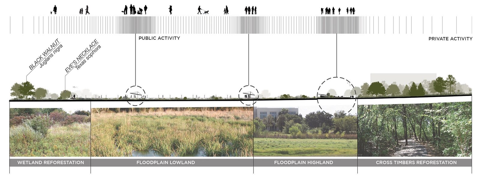 StudioOutside_CircleTRanch_MasterPlan_006.jpg