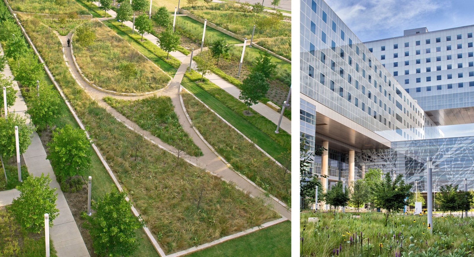 StudioOutside_Parkland Hospital_06.jpg