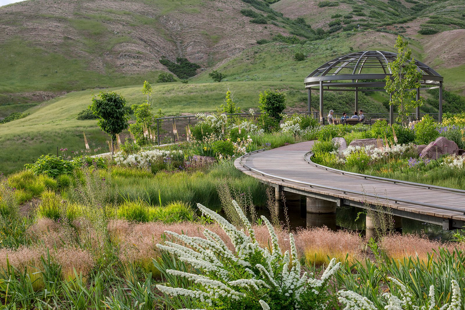 Water Conservation Garden